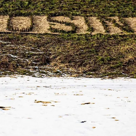 Konukevi Gosciniec Nad Zalewem Sosina Jaworzno