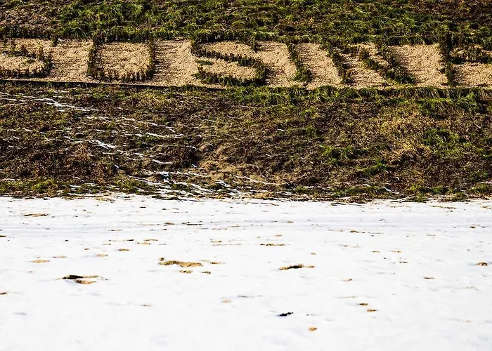 Penzion Gosciniec Nad Zalewem Sosina Jaworzno